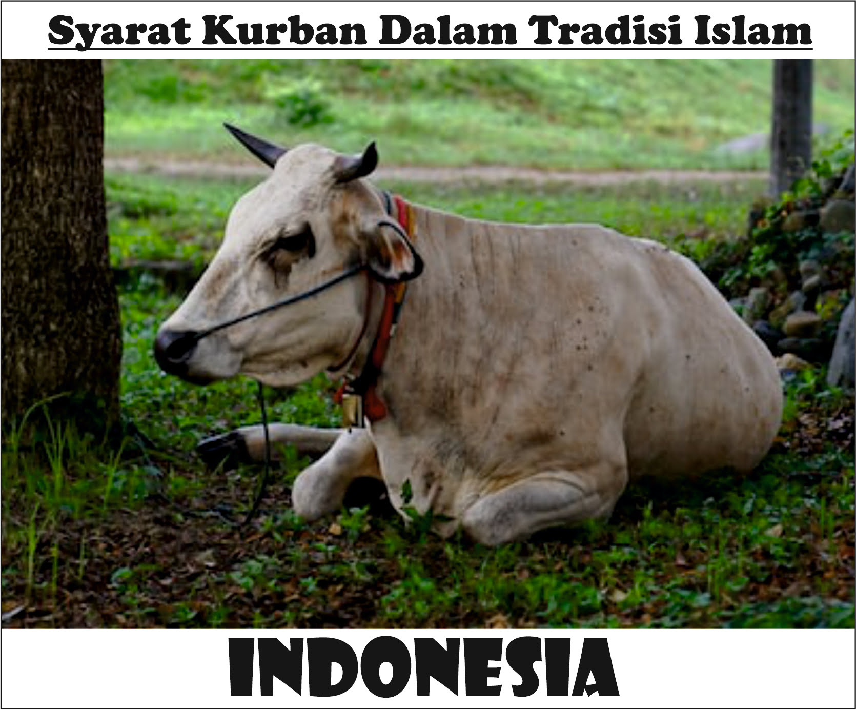 Syarat Kurban Dalam Tradisi Islam Indonesia